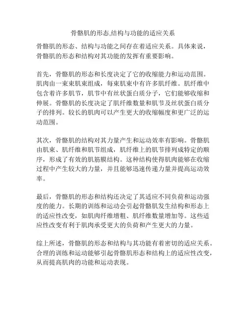 骨骼肌的形态,结构与功能的适应关系