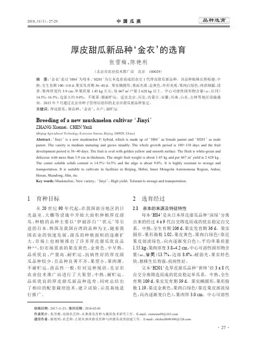 厚皮甜瓜新品种‘金衣’的选育