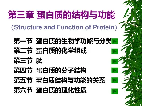 第03章蛋白质的结构与功能ppt课件