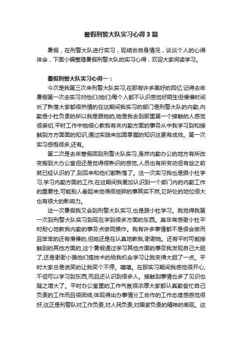 暑假刑警大队实习心得3篇