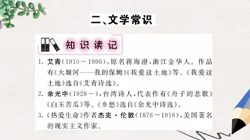 【推荐】中考语文一轮复习教材复习讲读九下二文学常识精编课件
