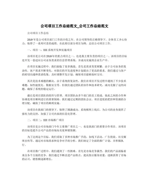 公司项目工作总结范文_公司工作总结范文