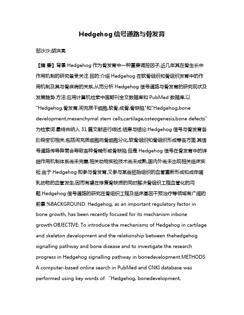 Hedgehog信号通路与骨发育