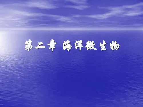 海洋生物学 第二章 海洋微生物(2007) (2)
