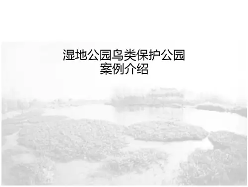 湿地公园鸟类保护公园教材