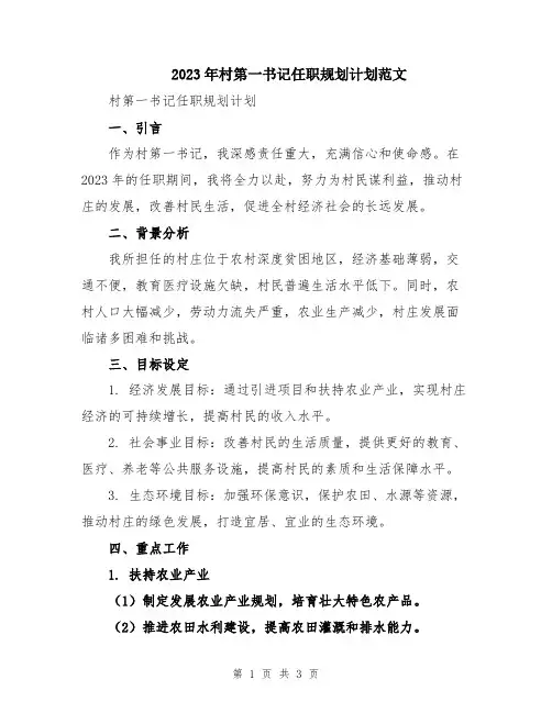 2023年村第一书记任职规划计划范文