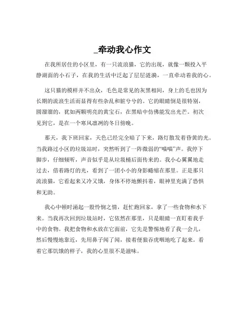 _牵动我心作文