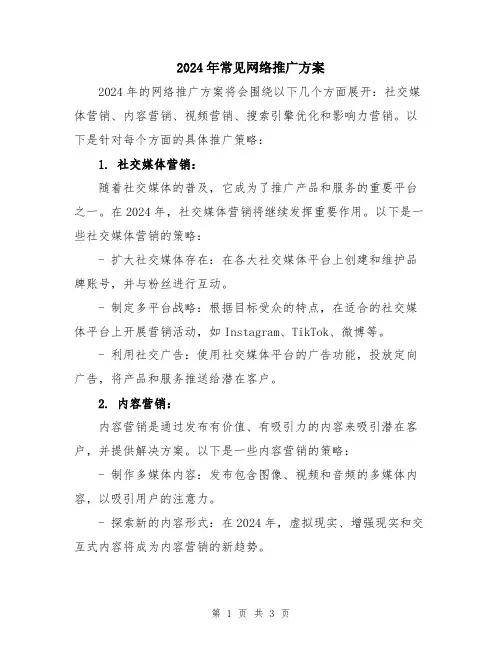 2024年常见网络推广方案