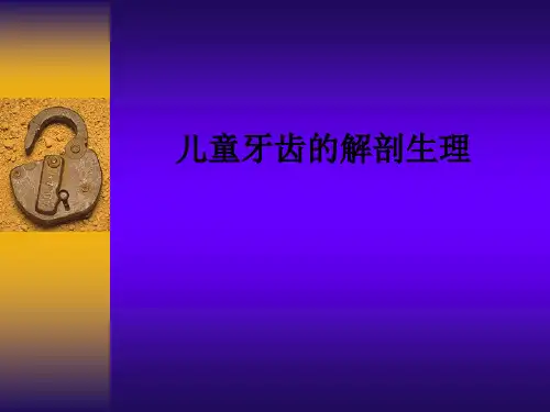 儿童牙齿的解剖生理ppt课件