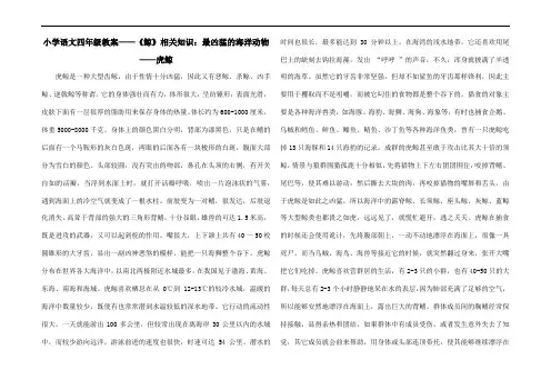 小学语文四年级教案——《鲸》相关知识：最凶猛的海洋动物——虎鲸