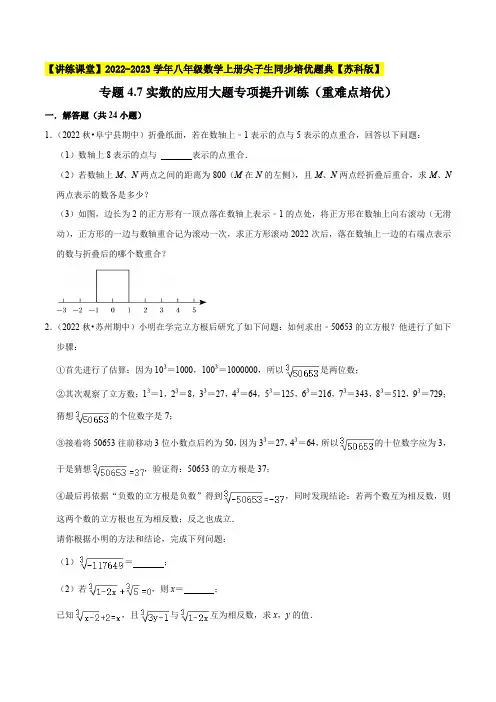 实数的应用大题专项提升训练(重难点培优)八年级数学上册尖子生同步培优题典(原卷版)【苏科版】