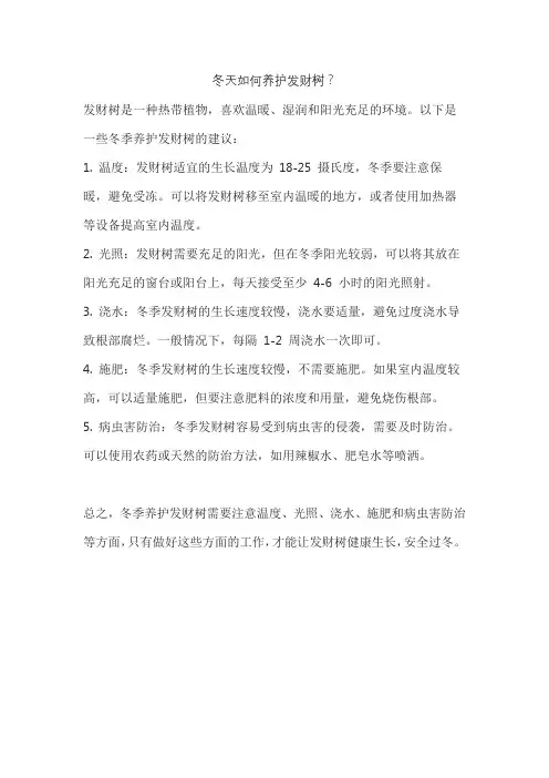 冬天如何养护发财树？