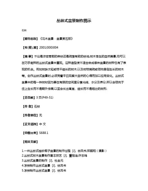 丛林式盆景制作图示