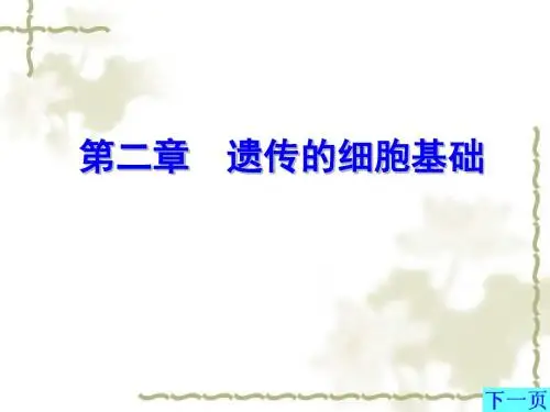 遗传的细胞基础(精)