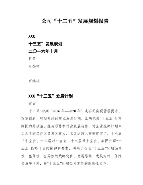 公司“十三五”发展规划报告