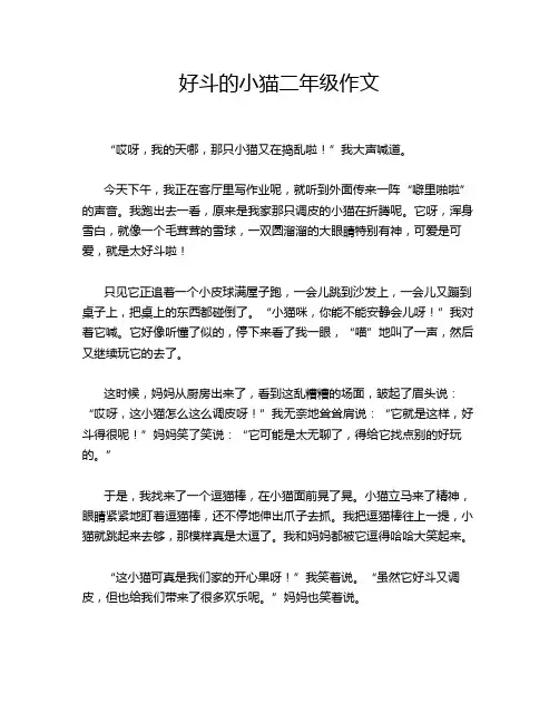 好斗的小猫二年级作文