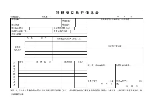 科研项目执行情况表【模板】