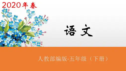 人教部编版《军神》ppt课件-精美版1