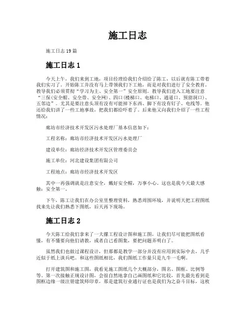施工日志-专业文档!