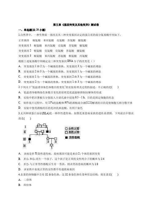 高中人教版生物必修2第五章《基因突变及他变异》测试卷含答案