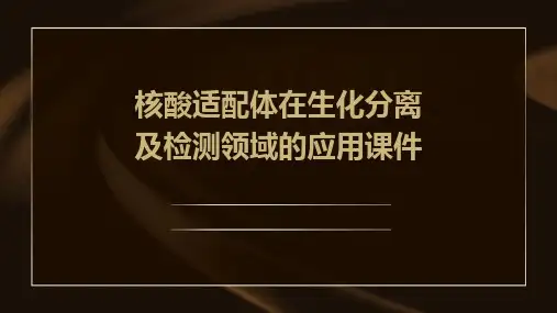 核酸适配体在生化分离及检测领域的应用课件