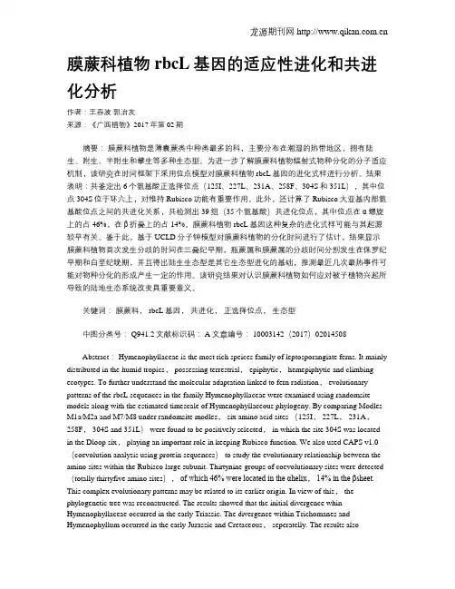 膜蕨科植物rbcL基因的适应性进化和共进化分析