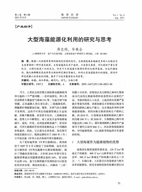 大型海藻能源化利用的研究与思考