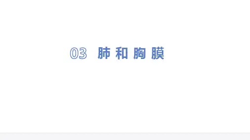 诊断学 胸部检查 肺和胸廓的视诊(临床诊疗课件)