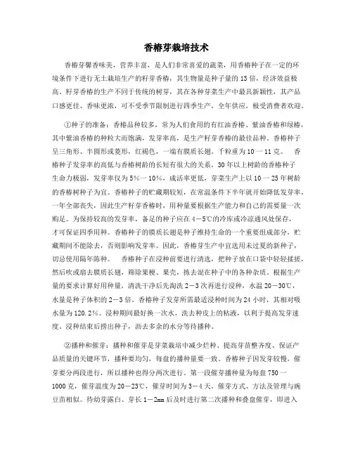 香椿芽栽培技术