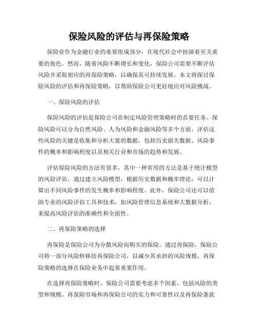 保险风险的评估与再保险策略