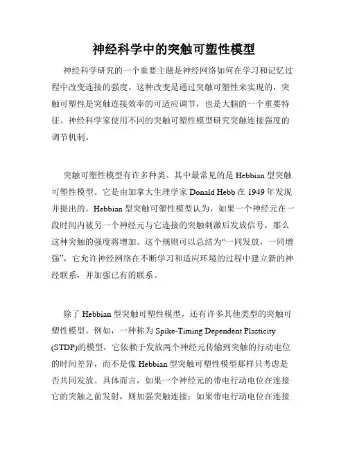 神经科学中的突触可塑性模型