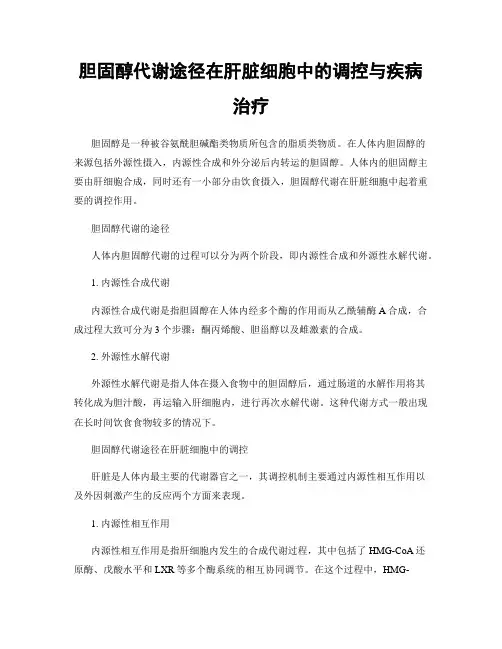 胆固醇代谢途径在肝脏细胞中的调控与疾病治疗