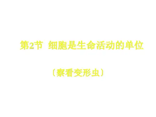 七年级生物细胞是生命活动的基本单位1ppt课件