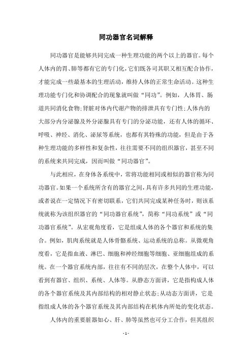同功器官名词解释