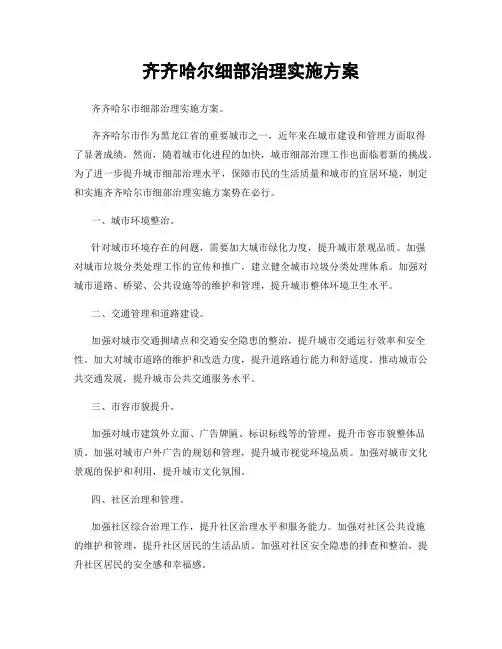 齐齐哈尔细部治理实施方案