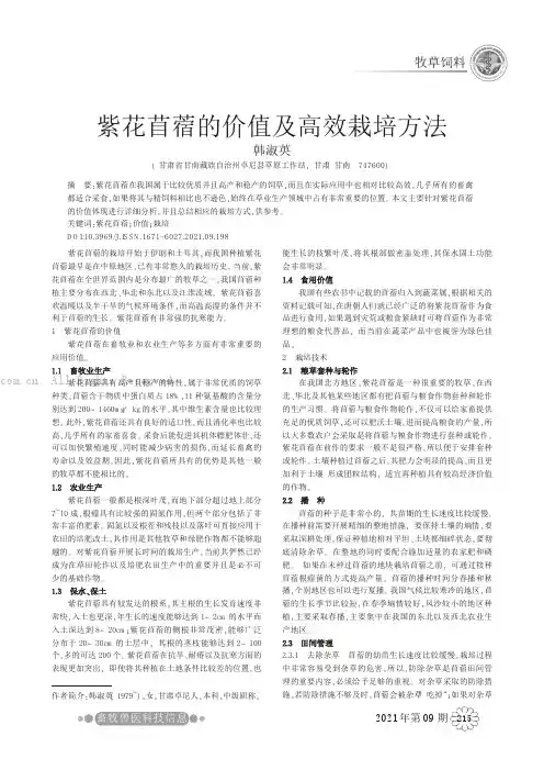 紫花苜蓿的价值及高效栽培方法