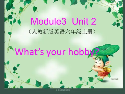 What's-your-hobby课件