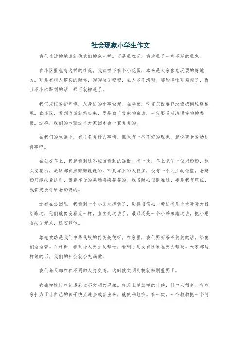 社会现象小学生作文