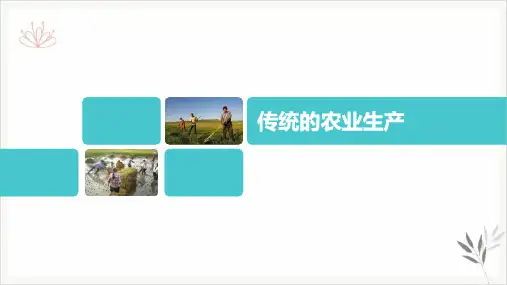 高考地理一轮复习区域地理美国农业课件