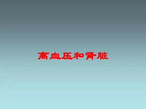 高血压和肾脏培训课件