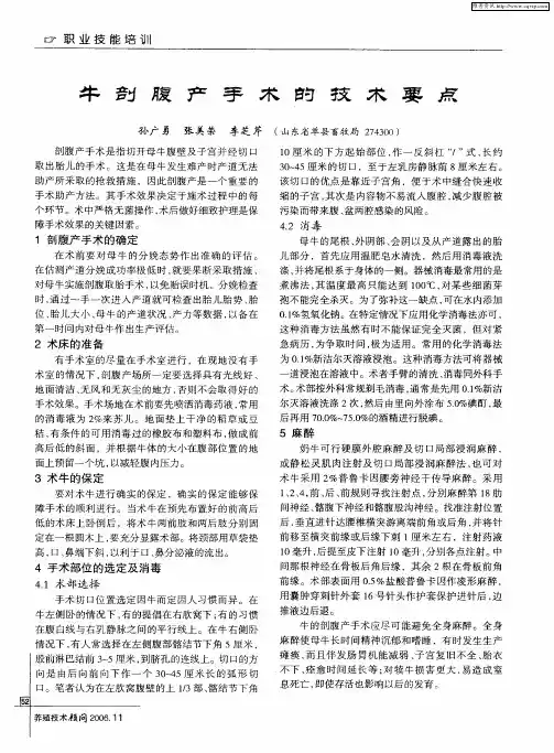 牛剖腹产手术的技术要点