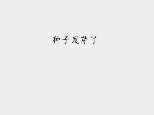 青岛版六年制小学五年级科学下册种子发芽了_课件1