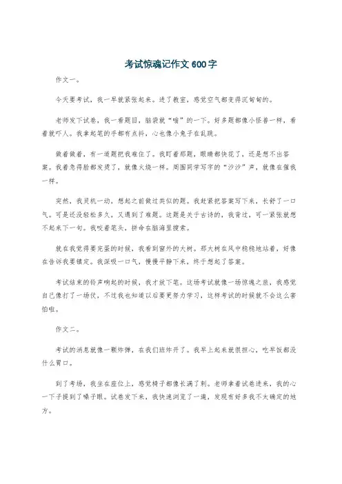 考试惊魂记作文600字