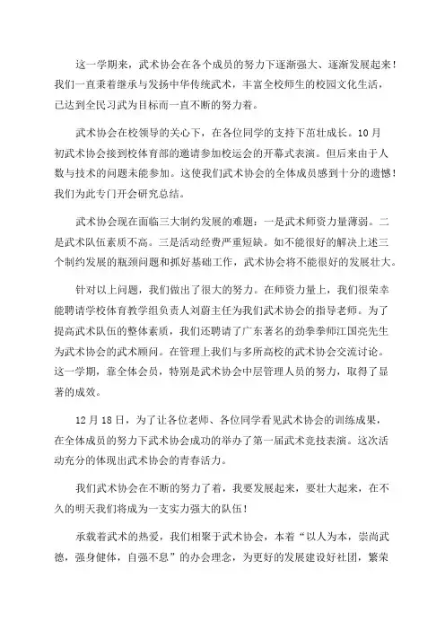 2023年武术协会工作总结6篇
