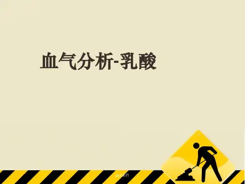 乳酸  ppt课件