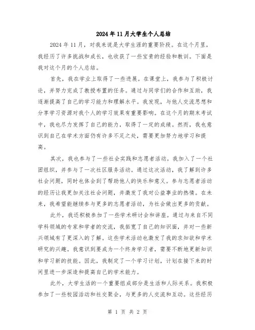 2024年11月大学生个人总结