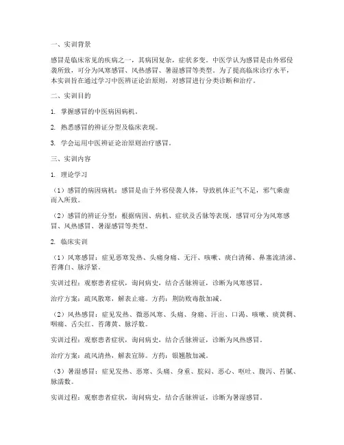 辨证治感冒的实训报告