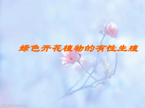 被子植物的生殖PPT精品课件_1