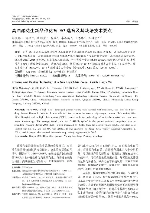 高油酸花生新品种花育963选育及其栽培技术要点