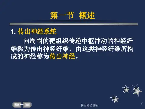 传出神经概论课件